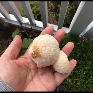 Scolecite on Stilbite, Natural Minerals